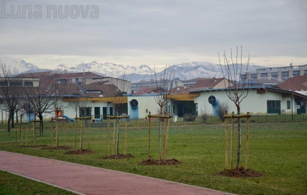 Grugliasco anticipa la primavera con 270 alberi