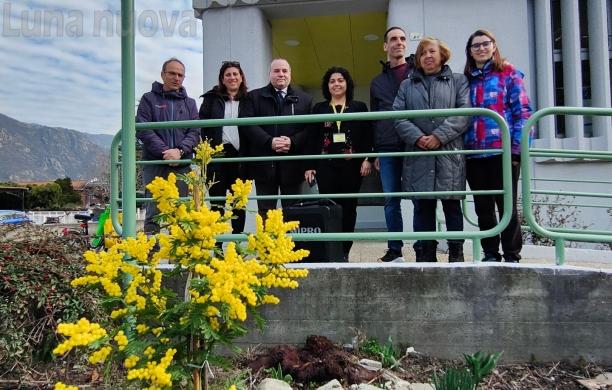 S.Antonino: l’8 Marzo riporta l’albero di mimosa davanti alle Poste