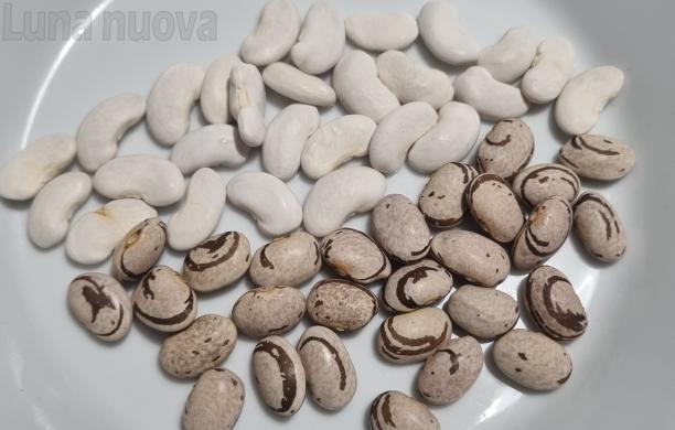 Mattie, il paese dei fagioli adesso ha la sua sagra