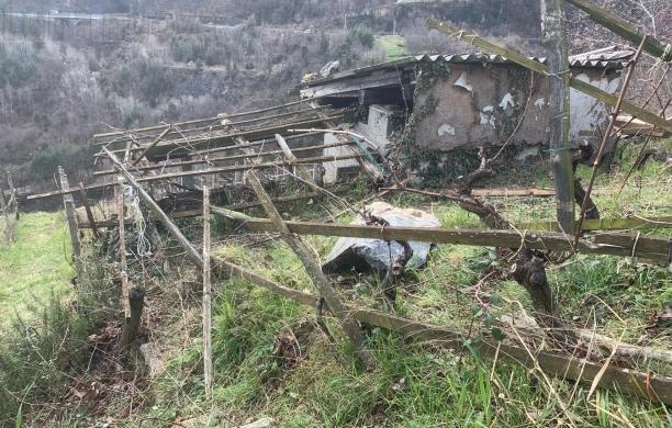 Chiomonte, vandalismi nei filari No Tav