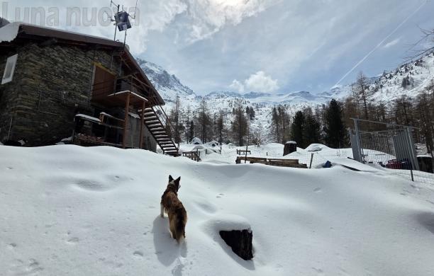 Effetto Gerardo; il rifugio Toesca resta chiuso