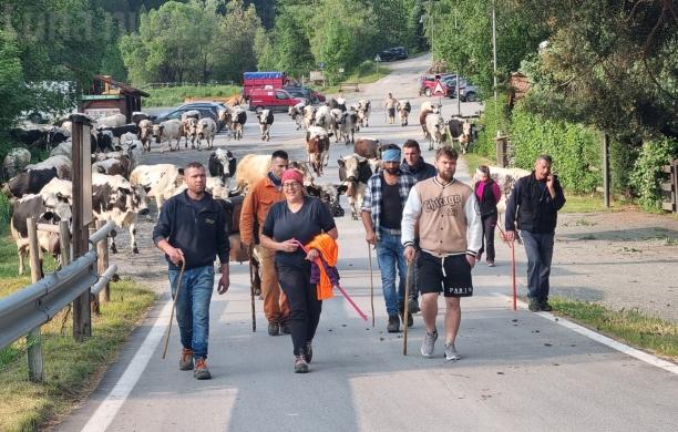 La Valle Argentera si rialza dopo due estati difficili