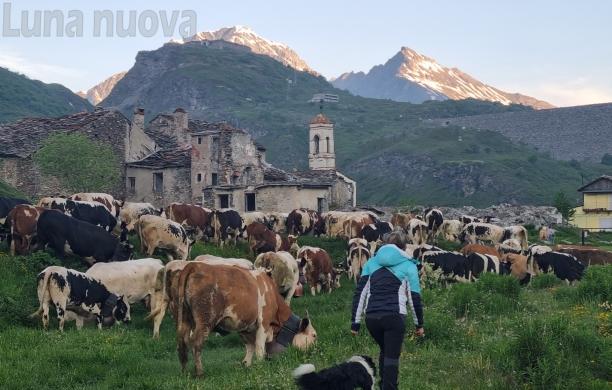 Listello, le ultime sentinelle del Piccolo Moncenisio