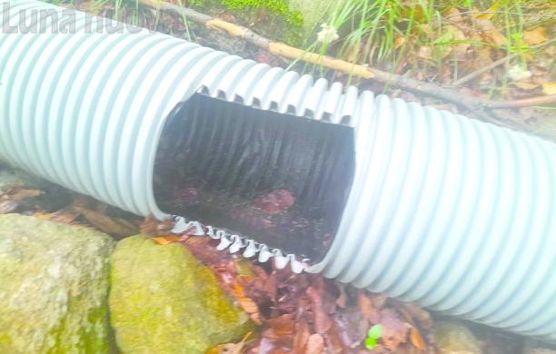 Villar Focchiardo: acqua e vandali nei castagneti