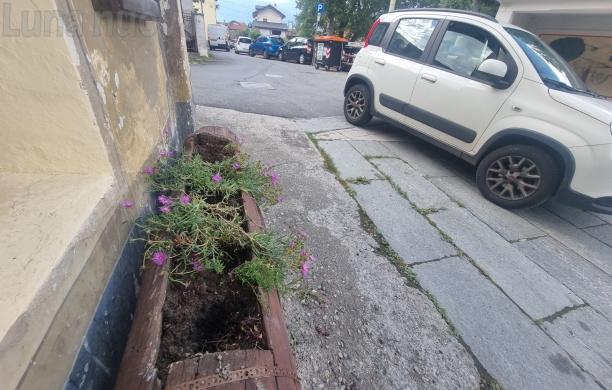 Mattie: grazie dei fior, ancora ladri in strada