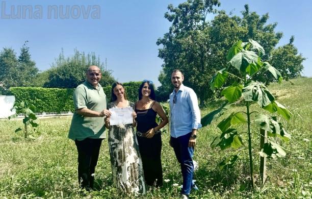 Orbassano punta sulla Paulownia per eliminare anidride carbonica