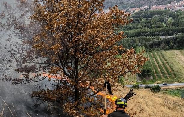 Collina della Seja, boschi in fiamme: domenica di fuoco