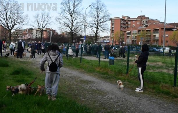 Grugliasco, bocconi killer a Paradiso: incubo lungo dieci anni