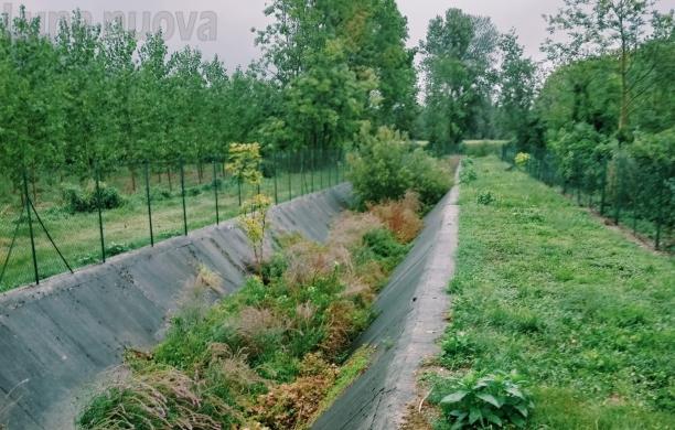 Rivoli, risolto il giallo del cadavere di Castelpasserino