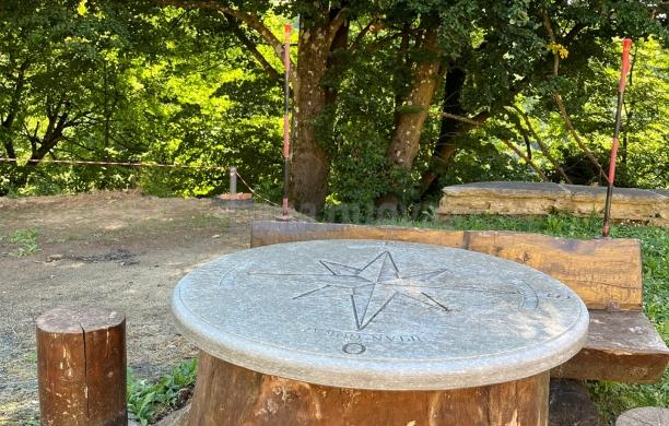 Storia di un cedro: un trappista all’Indiritto in cerca di pace e riposo