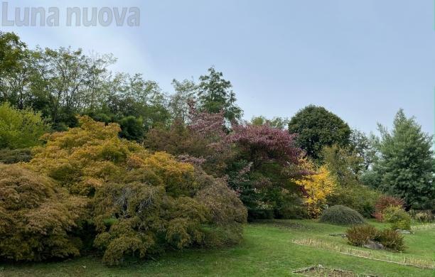 La ricchezza dell’autunno al Giardino Botanico Rea