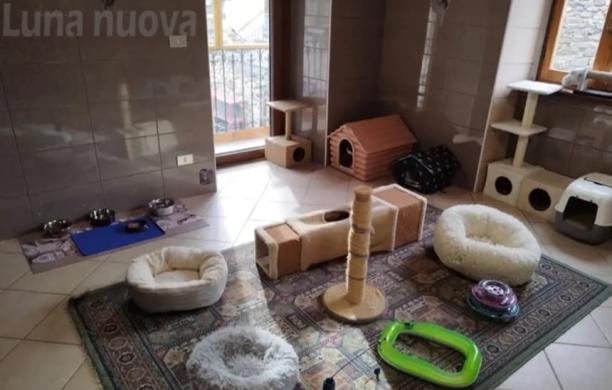 Susa: i gatti dei Ciaparat adesso hanno una casa