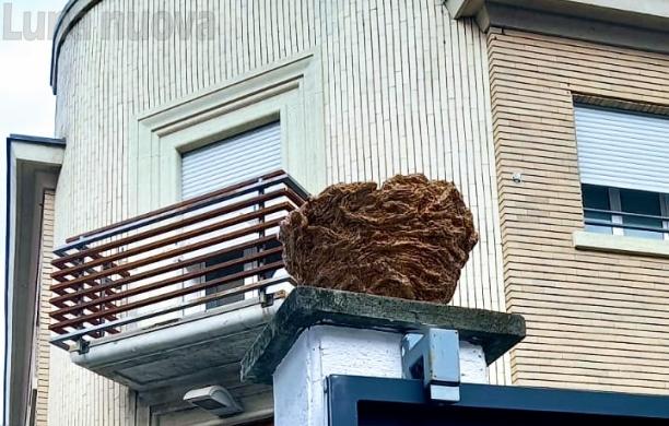 Severino Magri al Mau di Torino con tre opere