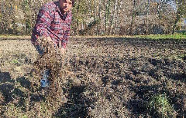 Mompantero: «I miei pascoli distrutti dai cinghiali»