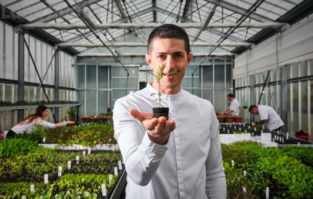 Almese, Mammoliti brilla: tre Stelle Michelin per "La Rei Natura"