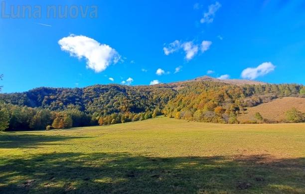 Giaglione: Azienda faunistica, tutto da rifare