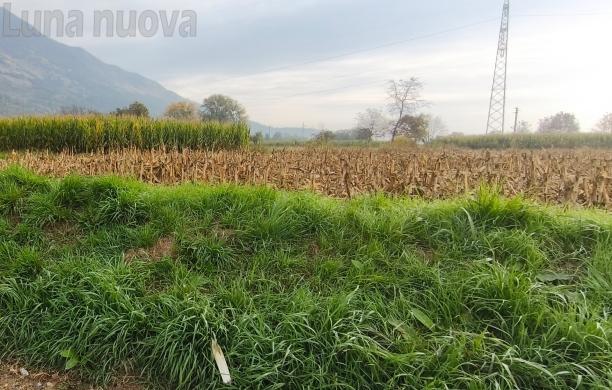 Avigliana, stazione elettrica  al posto dei campi. C’è un altro «No» 