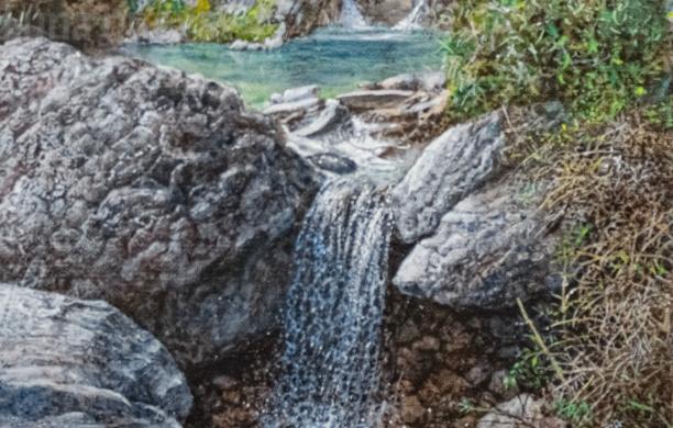 Le trame naturali di Vinicio Perugia tra lirismo e natura