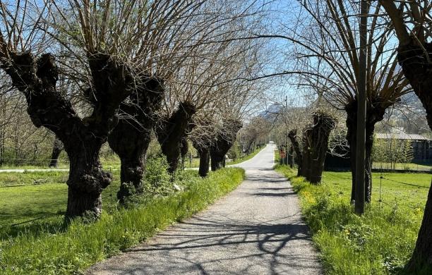 Favola di Natale: i bachi, i gelsi e Ada Negri, seta e terra in valle di Susa