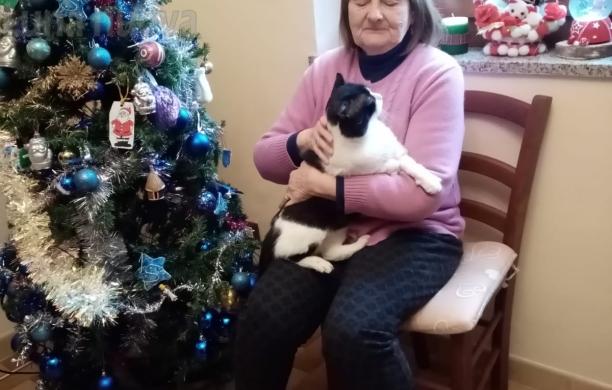 Chiusa S.Michele: l'incidente e la seconda vita del gatto Juve