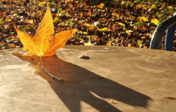 "La mia foto alla Luna": un viaggio tra luci e ombre