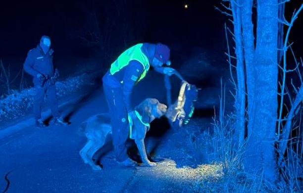 Giaveno, ritrovato a Trana l'uomo scomparso giovedì