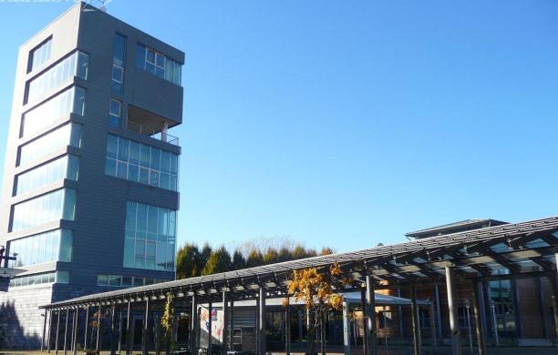 Collegno, indagine sulla Top in liquidazione