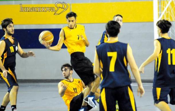 Basket, volley e rugby: ecco gli ultimi match dell'anno