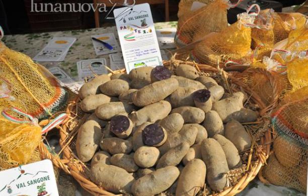 Giaveno, la patata regina di una due-giorni densa di iniziative