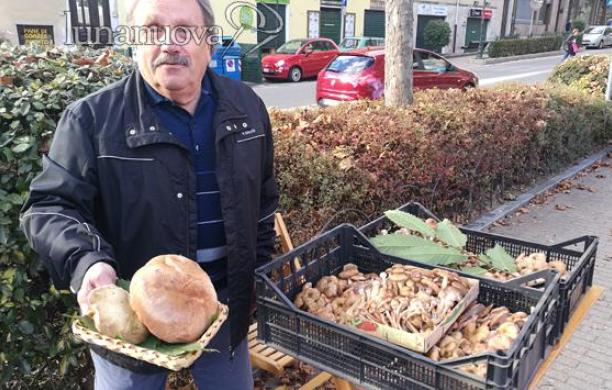 Giaveno, fungo: tanta festa, ma pochi porcini