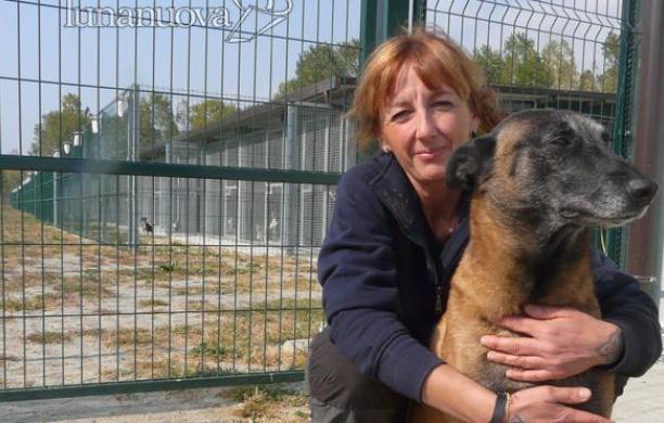 REPORTAGE Cento code: un giorno nel canile tra pappe e sgambate