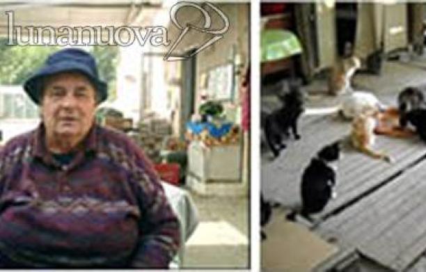Beneficenza: a Rivalta un mercatino per Fido e Micio