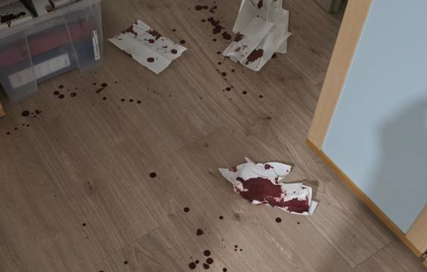 Susa, la scia di sangue del ladro maldestro