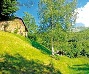 Il governo cancella la "tassa sui rovi"