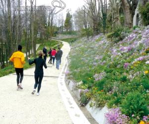 Rivoli, il parco Melano si chiamer&agrave; Hack
