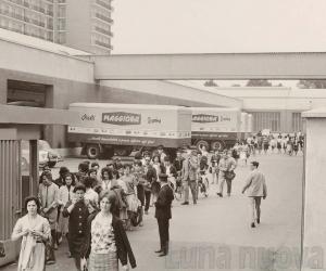 Collegno capitale del biscotto grazie alla Maggiora