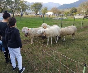 Almese: la Fiera agricola invade Milanere