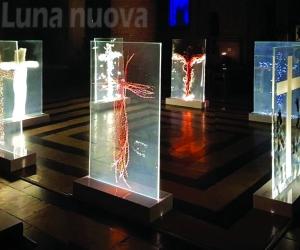 Rivoli, al Duomo la mostra curata da Donatella Avanzo