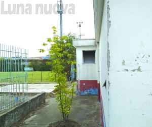 Rivoli, la rinascita di via Sestriere &egrave; firmata Conte Verde