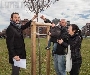 Grugliasco, alberi e bambini crescono insieme