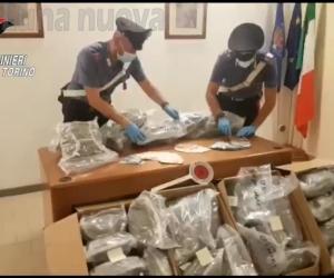 Orbassano, acciuffati con 31 chili di marijuana 