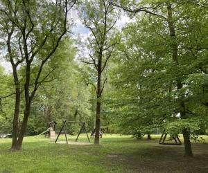 Buttigliera, cane aggressivo: paura a Le Fronde