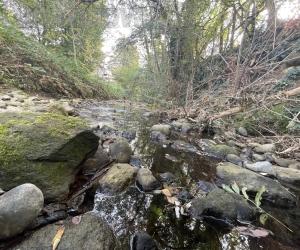 Pianezza, due milioni per mettere in sicurezza il rio Fellone