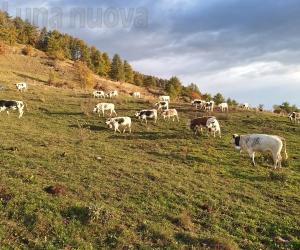 Piera Re, da mezzo secolo a Desertes