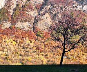 "La mia foto alla Luna" fa rotta sul pianeta Flora