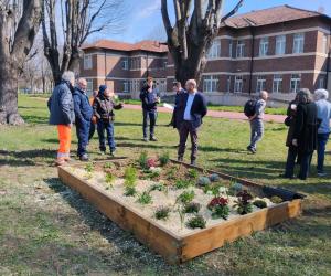 Collegno, il liceo Curie ha il suo nuovo orto didattico