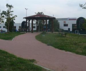 Rivoli, Una petizione contro i bisogni di Fido