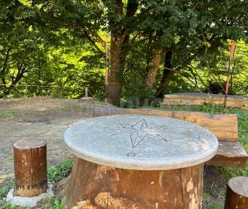 Storia di un cedro: un trappista all&rsquo;Indiritto in cerca di pace e riposo