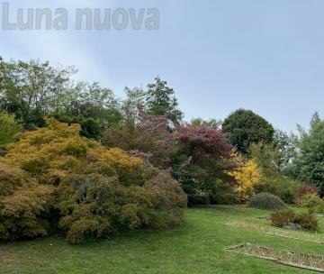 La ricchezza dell&rsquo;autunno al Giardino Botanico Rea