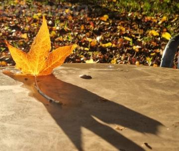 "La mia foto alla Luna": un viaggio tra luci e ombre